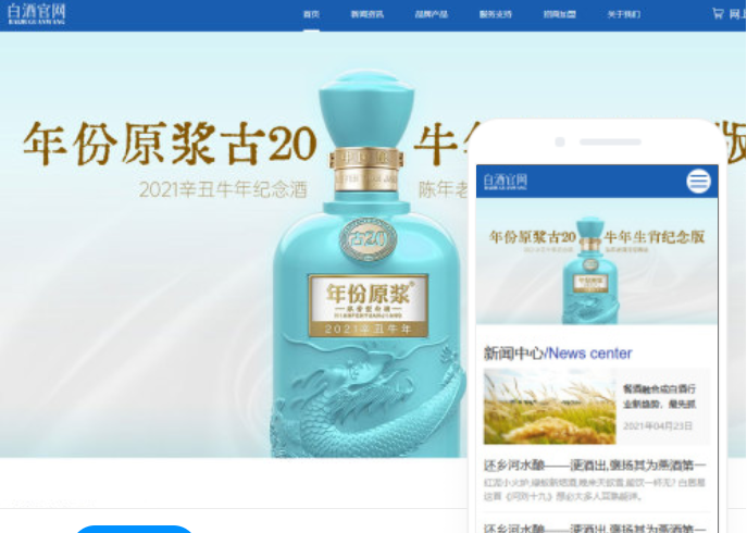 滄州網(wǎng)站制作價格